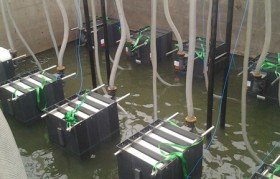 發(fā)電廠垃圾滲濾液水質特點是什么？