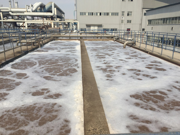 除磷劑是什么藥劑？水里的總磷來自哪里？